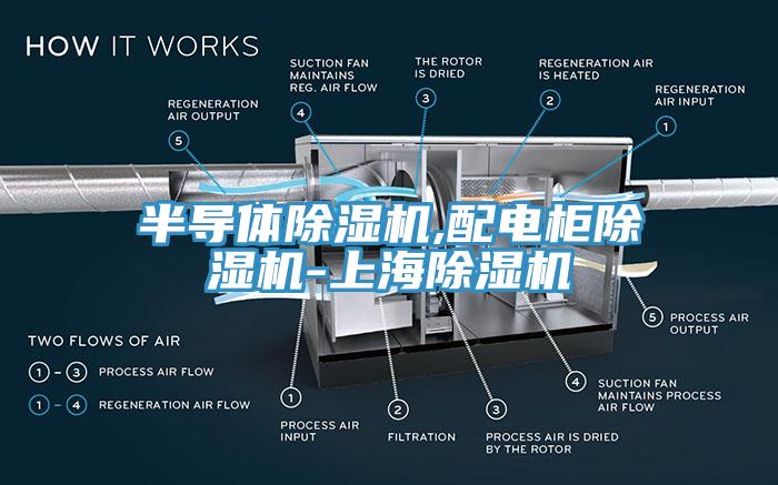 半導(dǎo)體除濕機,配電柜除濕機-上海除濕機