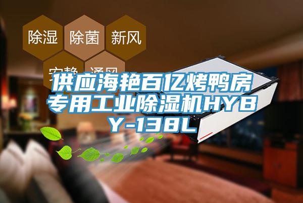 供應(yīng)海艷百億烤鴨房專用工業(yè)除濕機HYBY-138L