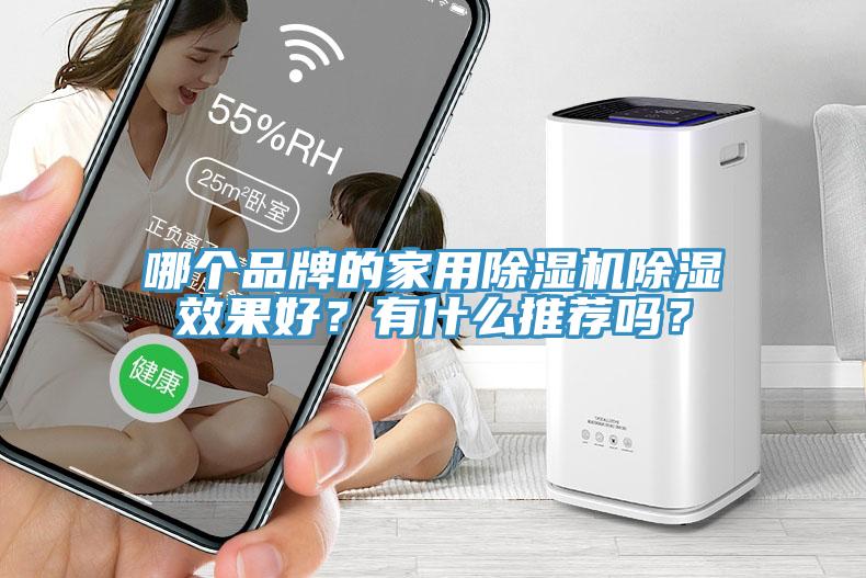 哪個品牌的家用除濕機除濕效果好？有什么推薦嗎？