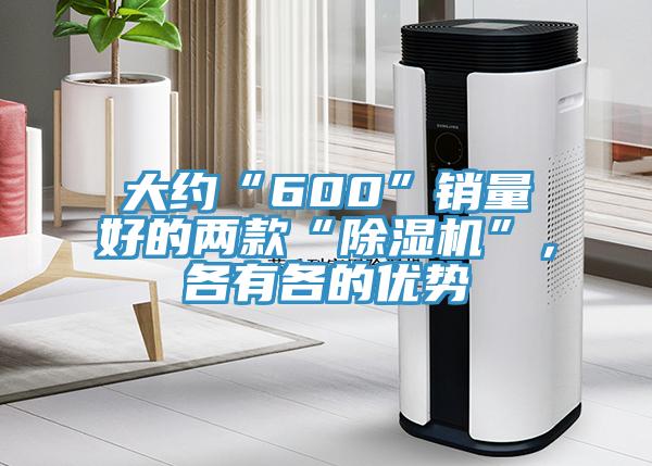 大約“600”銷量好的兩款“除濕機”，各有各的優(yōu)勢