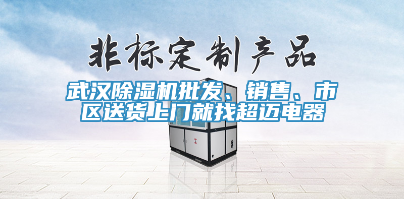 武漢除濕機批發(fā)、銷售、市區(qū)送貨上門就找超邁電器