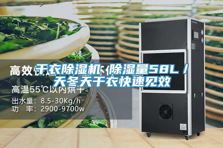 干衣除濕機 除濕量58L／天冬天干衣快速見效