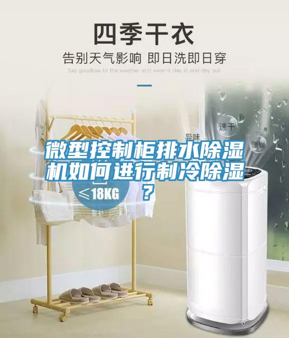 微型控制柜排水除濕機(jī)如何進(jìn)行制冷除濕？