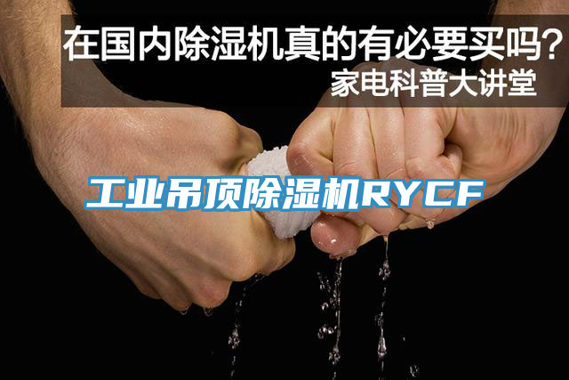 工業(yè)吊頂除濕機RYCF