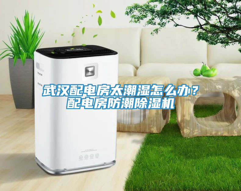 武漢配電房太潮濕怎么辦？配電房防潮除濕機