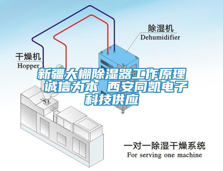 新疆大棚除濕器工作原理 誠信為本 西安同凱電子科技供應(yīng)