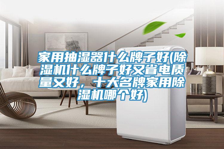 家用抽濕器什么牌子好(除濕機(jī)什么牌子好又省電質(zhì)量又好，十大名牌家用除濕機(jī)哪個(gè)好)