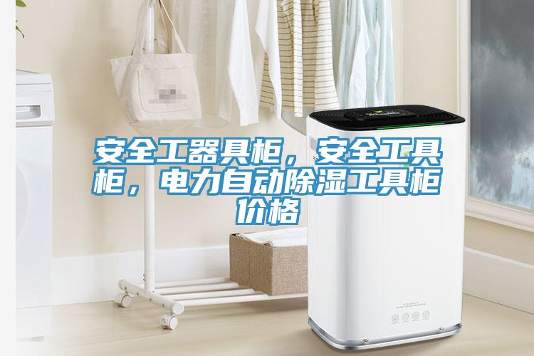 安全工器具柜，安全工具柜，電力自動除濕工具柜價(jià)格