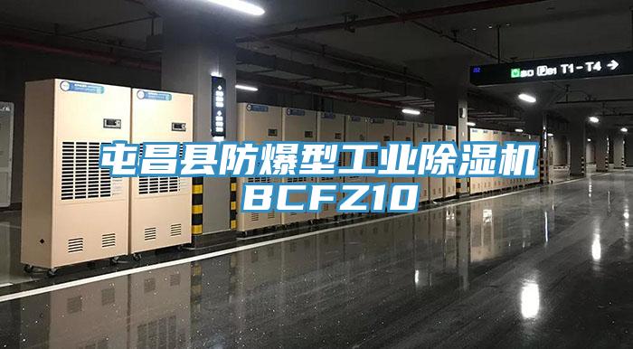 屯昌縣防爆型工業(yè)除濕機 BCFZ10