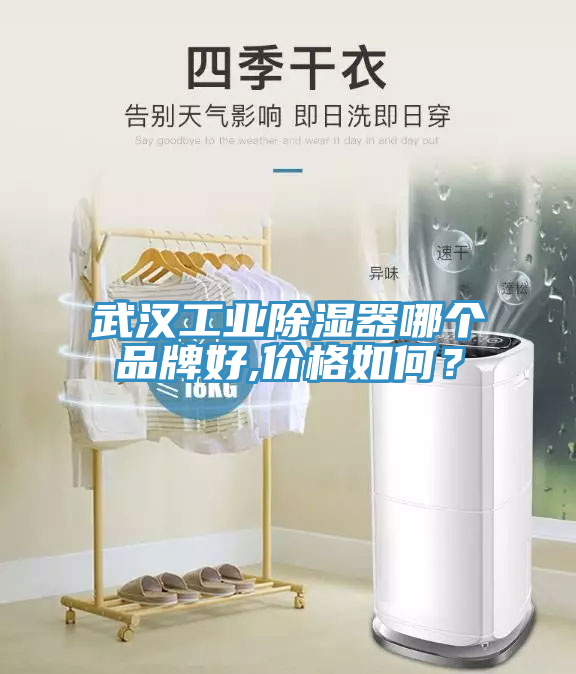 武漢工業(yè)除濕器哪個(gè)品牌好,價(jià)格如何？