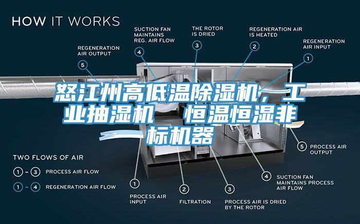 怒江州高低溫除濕機(jī)，工業(yè)抽濕機(jī)  恒溫恒濕非標(biāo)機(jī)器