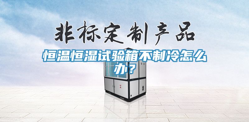 恒溫恒濕試驗(yàn)箱不制冷怎么辦？