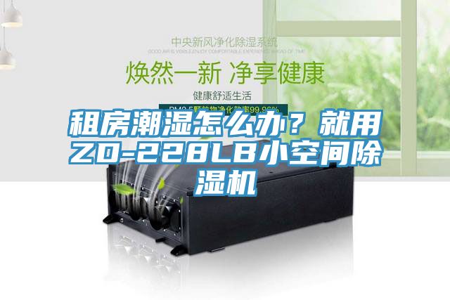 租房潮濕怎么辦？就用ZD-228LB小空間除濕機