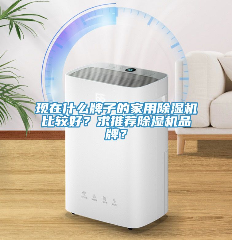 現(xiàn)在什么牌子的家用除濕機(jī)比較好？求推薦除濕機(jī)品牌？