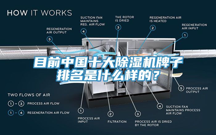 目前中國十大除濕機牌子排名是什么樣的？