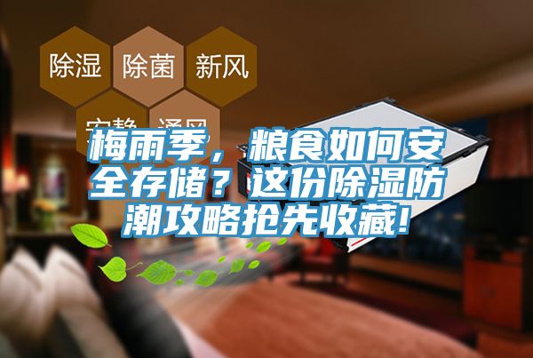 梅雨季，糧食如何安全存儲(chǔ)？這份除濕防潮攻略搶先收藏!