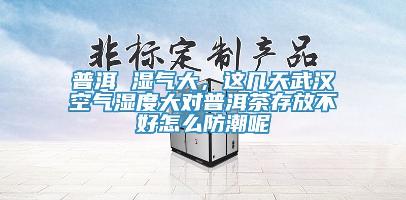 普洱 濕氣大，這幾天武漢空氣濕度大對(duì)普洱茶存放不好怎么防潮呢