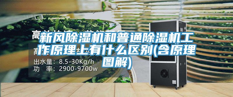 新風除濕機和普通除濕機工作原理上有什么區(qū)別(含原理圖解)