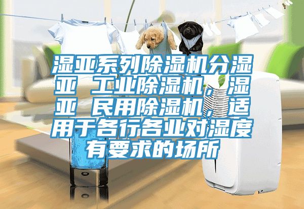 濕亞系列除濕機(jī)分濕亞 工業(yè)除濕機(jī)，濕亞 民用除濕機(jī)，適用于各行各業(yè)對(duì)濕度有要求的場(chǎng)所