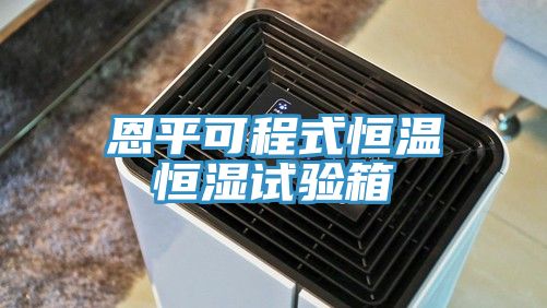 恩平可程式恒溫恒濕試驗(yàn)箱