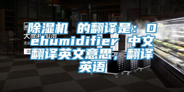 除濕機(jī) 的翻譯是：Dehumidifier 中文翻譯英文意思，翻譯英語