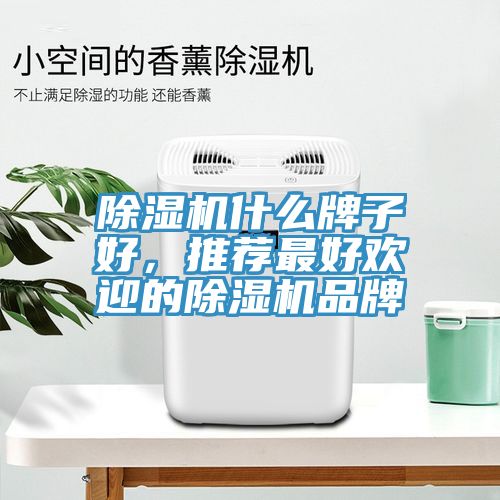 除濕機什么牌子好，推薦最好歡迎的除濕機品牌