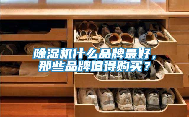 除濕機什么品牌最好，那些品牌值得購買？