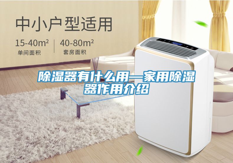 除濕器有什么用—家用除濕器作用介紹