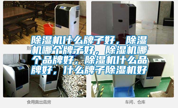 除濕機什么牌子好，除濕機哪個牌子好，除濕機哪個品牌好，除濕機什么品牌好，什么牌子除濕機好