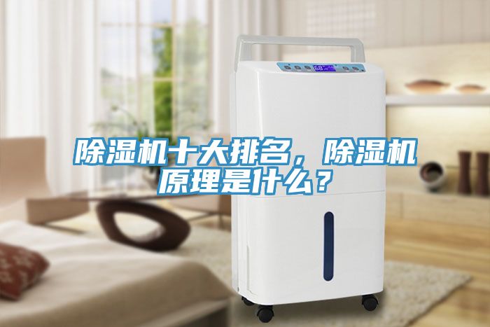 除濕機十大排名，除濕機原理是什么？