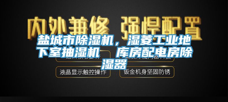 鹽城市除濕機，濕菱工業(yè)地下室抽濕機  庫房配電房除濕器