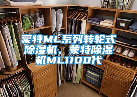 蒙特ML系列轉輪式除濕機、蒙特除濕機ML1100代