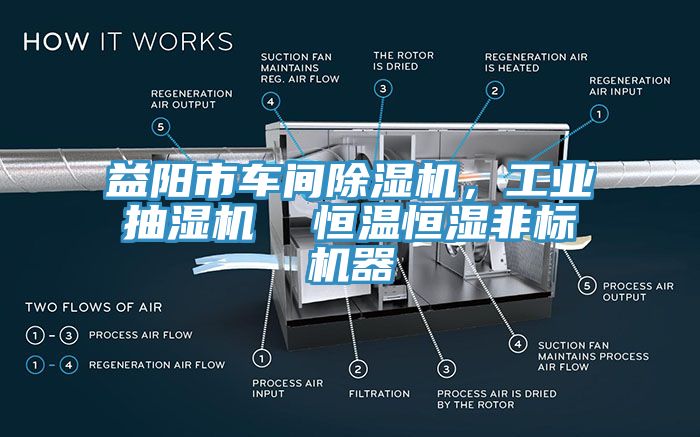 益陽市車間除濕機，工業(yè)抽濕機  恒溫恒濕非標機器