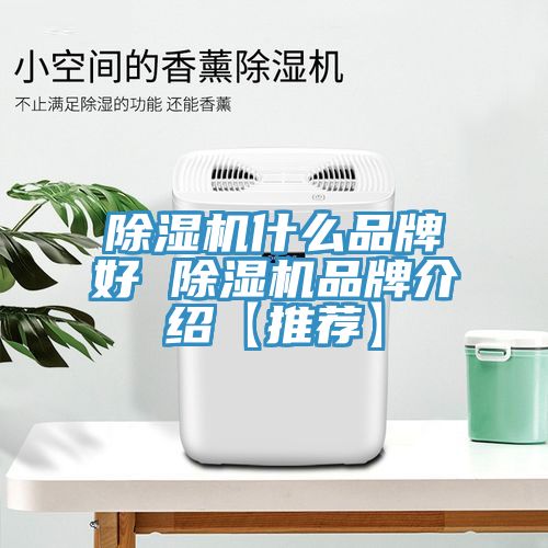 除濕機什么品牌好 除濕機品牌介紹【推薦】