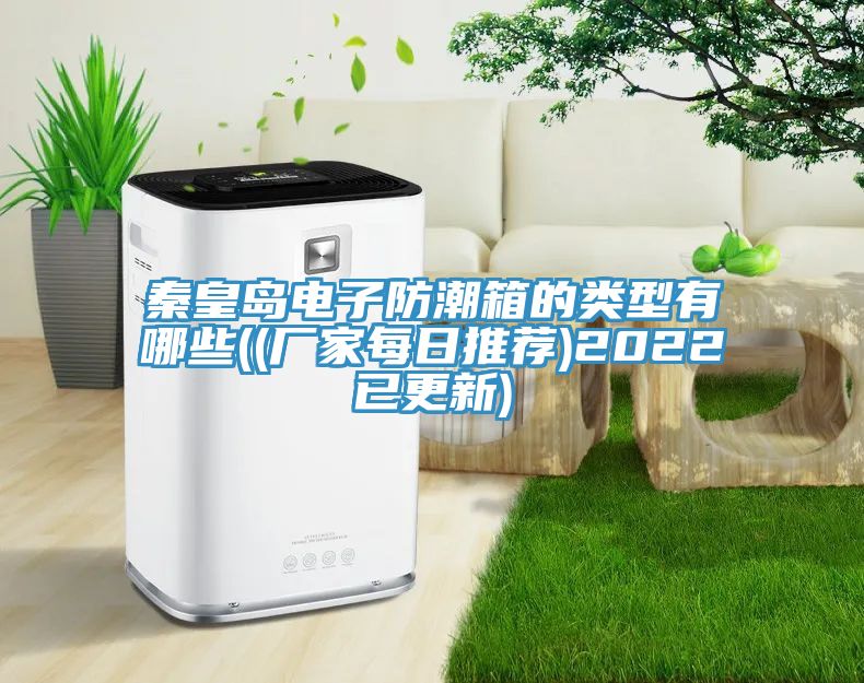 秦皇島電子防潮箱的類(lèi)型有哪些((廠家每日推薦)2022已更新)