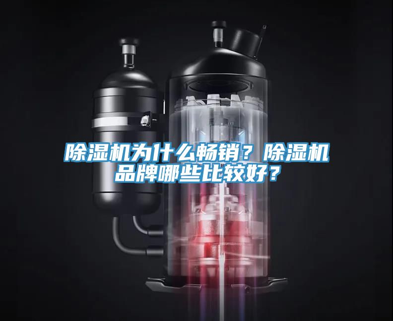 除濕機(jī)為什么暢銷？除濕機(jī)品牌哪些比較好？