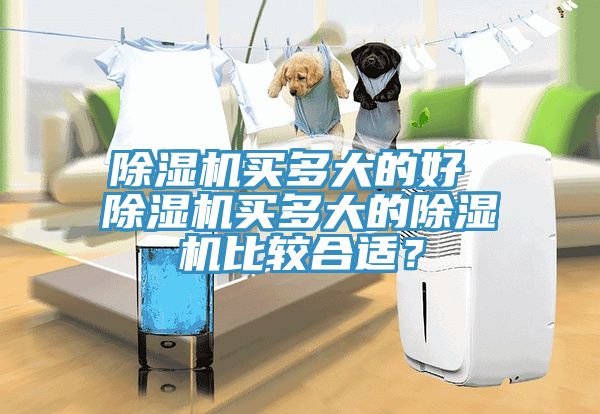 除濕機買多大的好 除濕機買多大的除濕機比較合適？