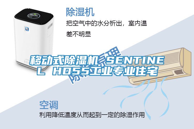 移動式除濕機(jī) SENTINEL HD55工業(yè)專業(yè)住宅