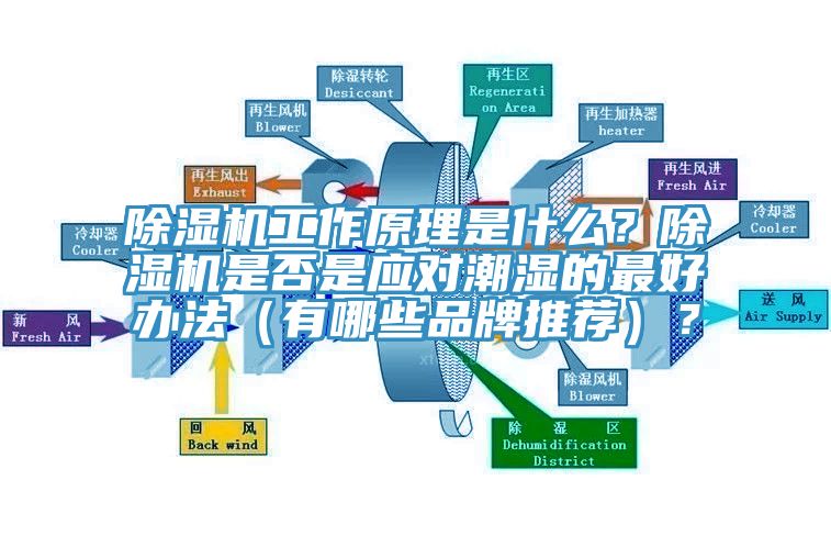 除濕機(jī)工作原理是什么？除濕機(jī)是否是應(yīng)對潮濕的最好辦法（有哪些品牌推薦）？