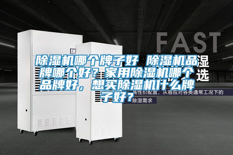 除濕機哪個牌子好 除濕機品牌哪個好？家用除濕機哪個品牌好，想買除濕機什么牌子好？