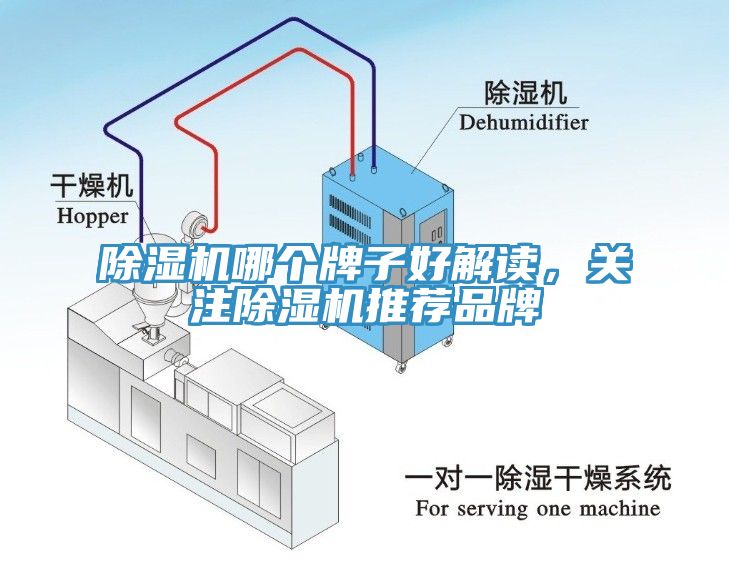 除濕機(jī)哪個(gè)牌子好解讀，關(guān)注除濕機(jī)推薦品牌