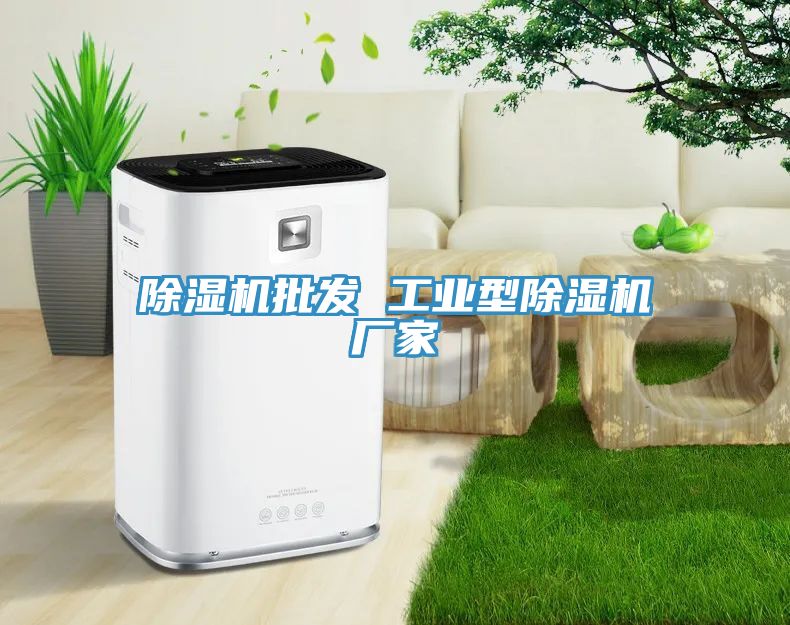 除濕機批發(fā) 工業(yè)型除濕機廠家