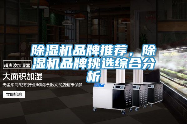 除濕機品牌推薦，除濕機品牌挑選綜合分析