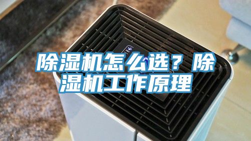 除濕機怎么選？除濕機工作原理