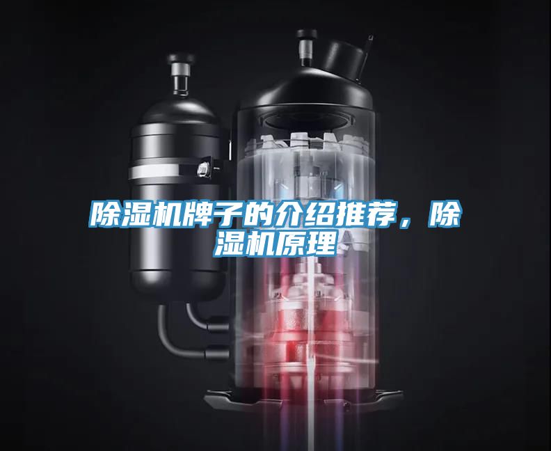 除濕機牌子的介紹推薦，除濕機原理