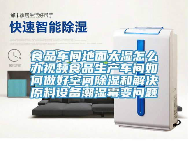 食品車間地面太濕怎么辦視頻食品生產車間如何做好空間除濕和解決原料設備潮濕霉變問題