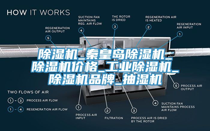 除濕機(jī)_秦皇島除濕機(jī)_除濕機(jī)價(jià)格_工業(yè)除濕機(jī)_除濕機(jī)品牌_抽濕機(jī)