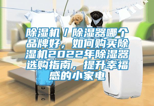 除濕機／除濕器哪個品牌好，如何購買除濕機2022年除濕器選購指南，提升幸福感的小家電